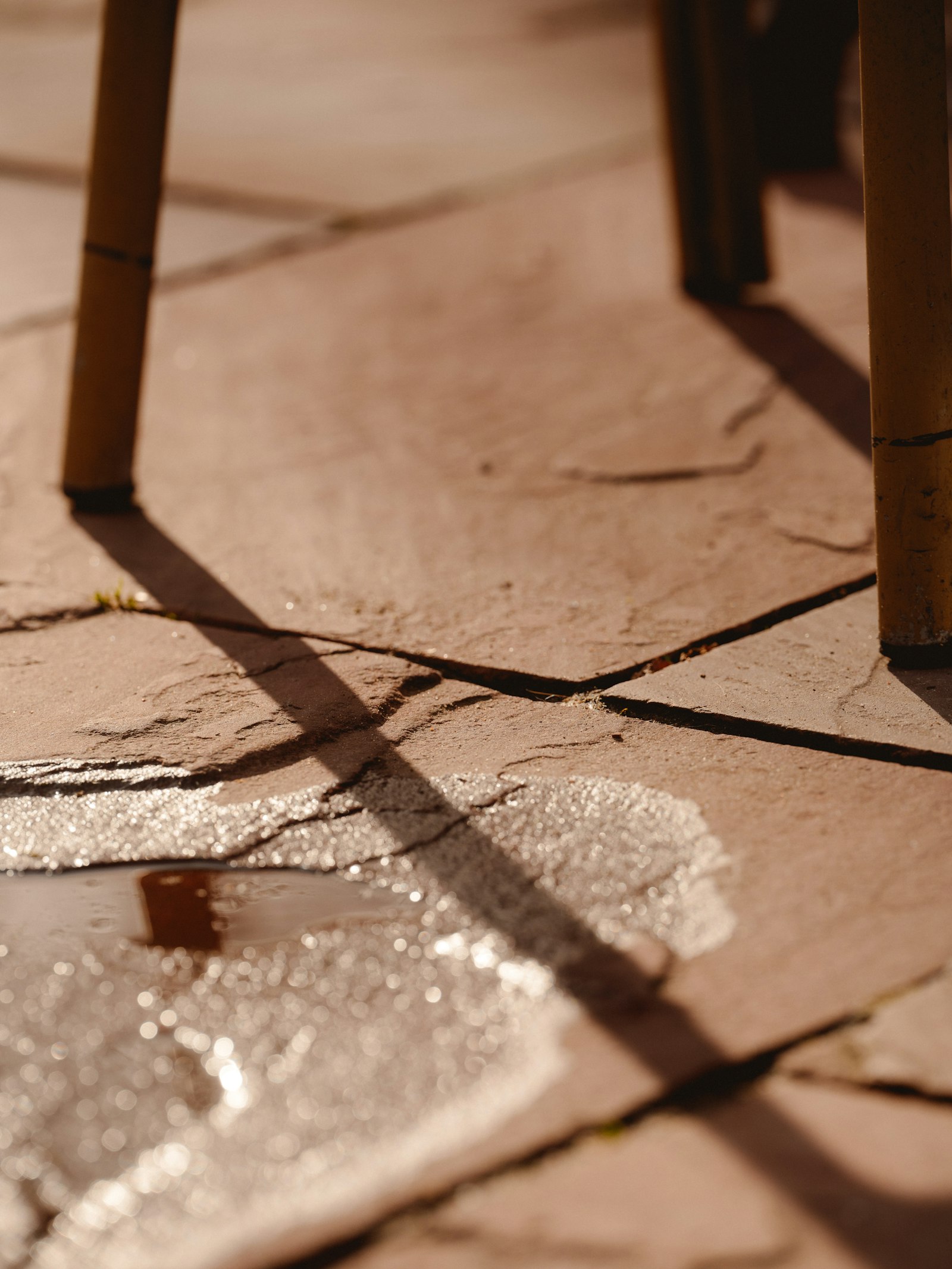 Close view of water beading on freshly sealed flagstone patio in evening light