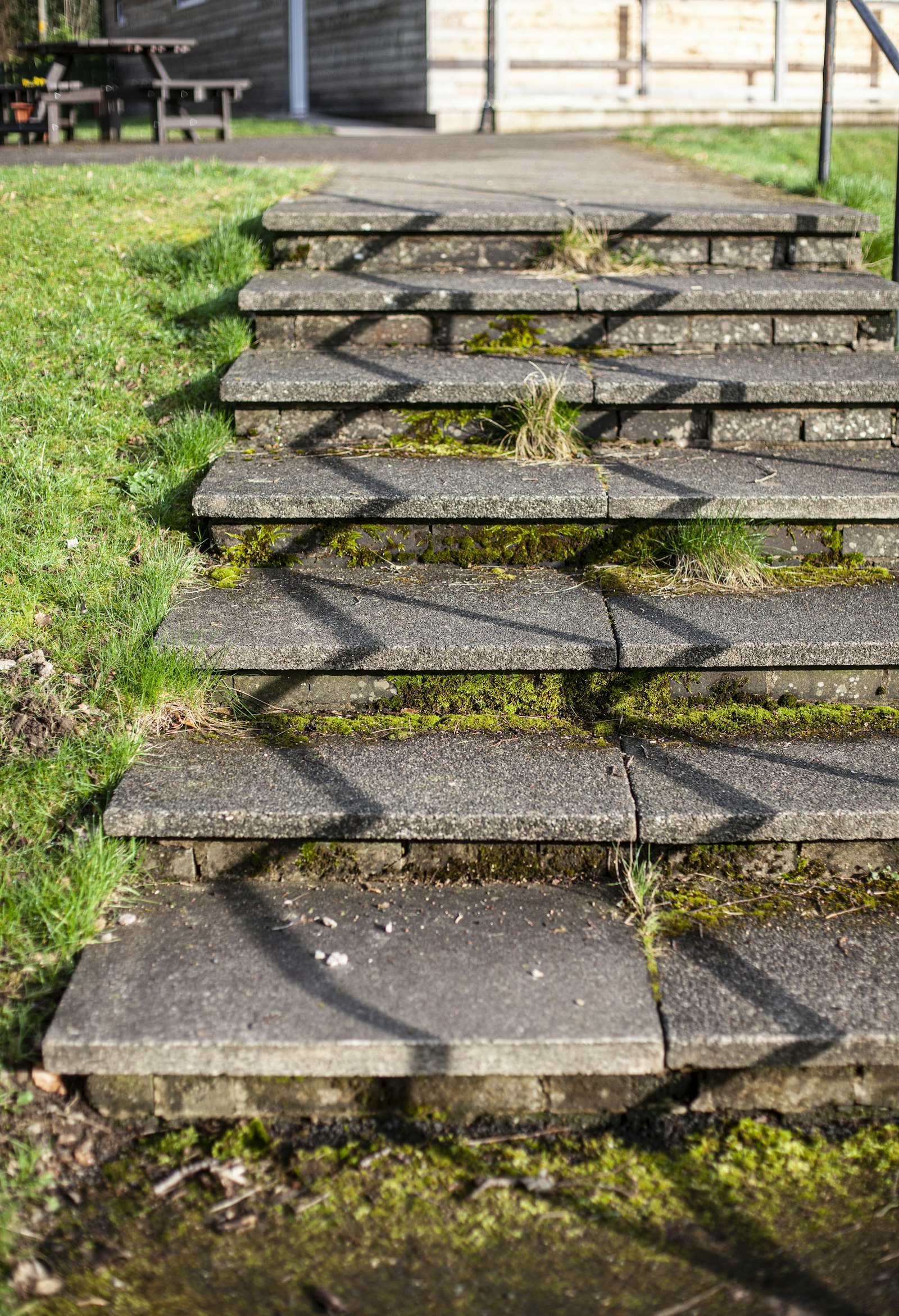 Concrete garden steps with moss growing in the joints before cleaning